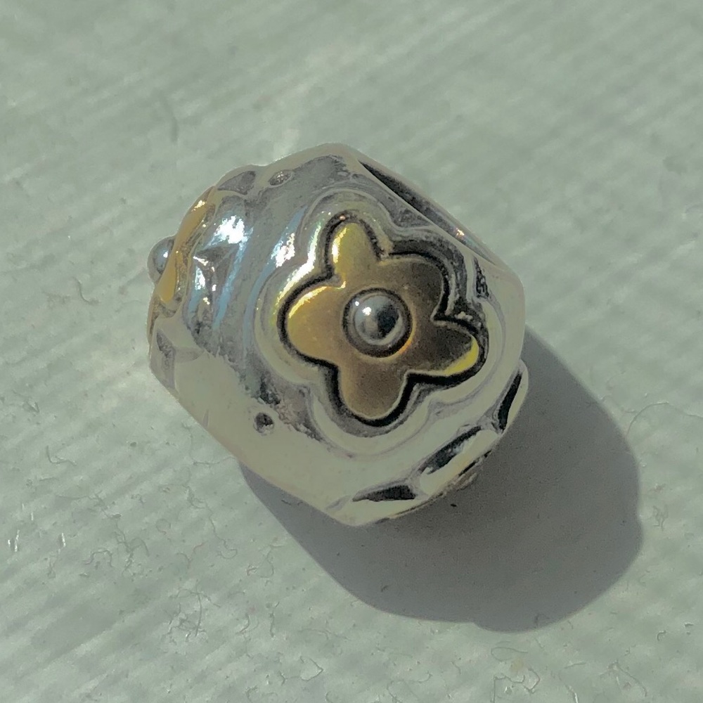 Silver and gold charm